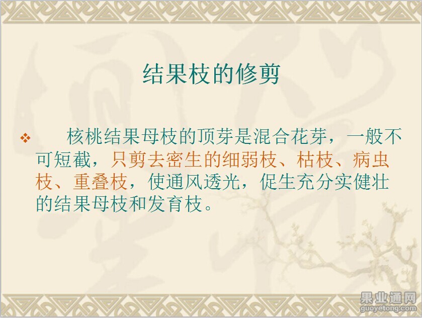 QQ图片20141116090808.jpg
