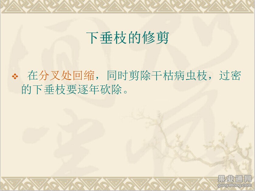 QQ图片20141116090815.jpg