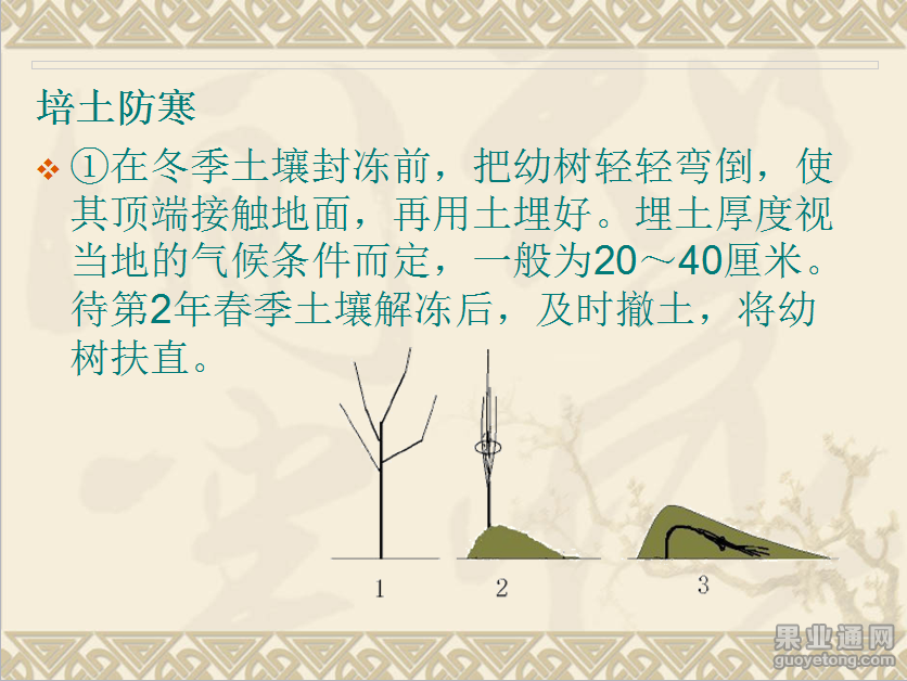 QQ图片20141116092647.png