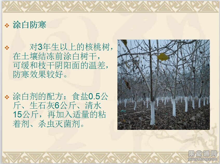 QQ图片20141116092819.jpg