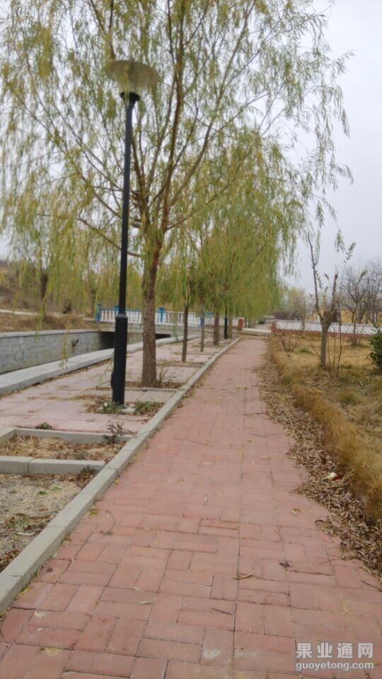 QQ图片20141124071707.jpg