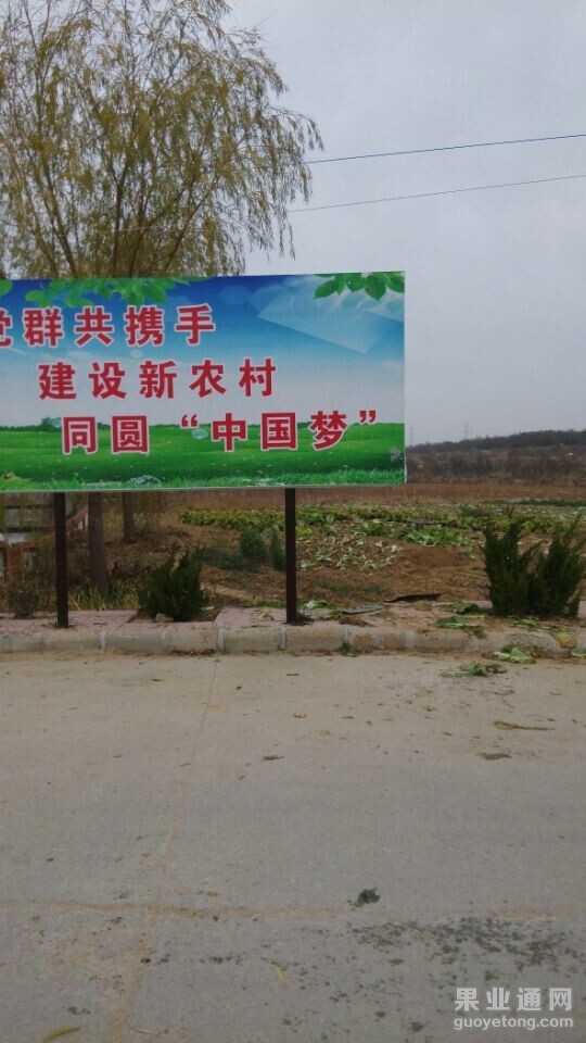 QQ图片20141124071850.jpg