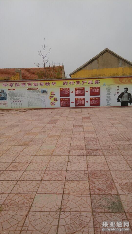 QQ图片20141124071915.jpg