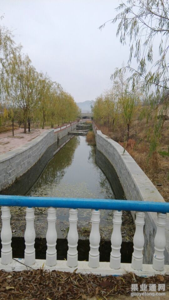 QQ图片20141124072234.jpg