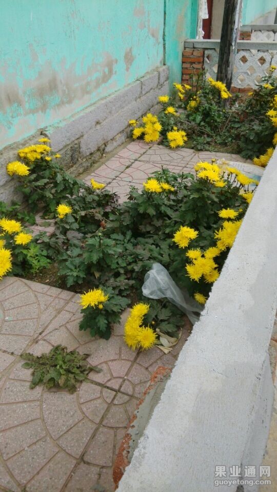 QQ图片20141124070728.jpg