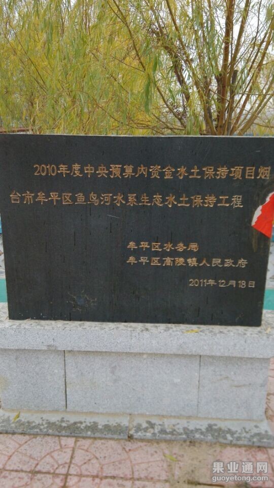 QQ图片20141124071810.jpg