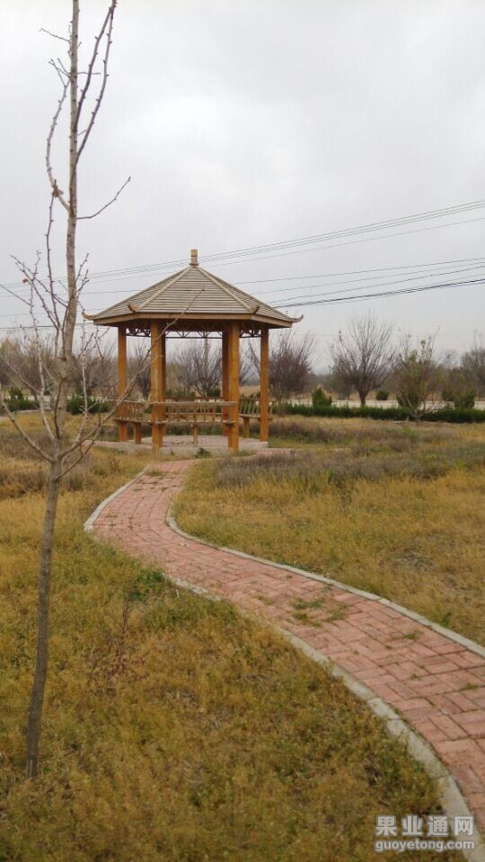 QQ图片20141124072148.jpg