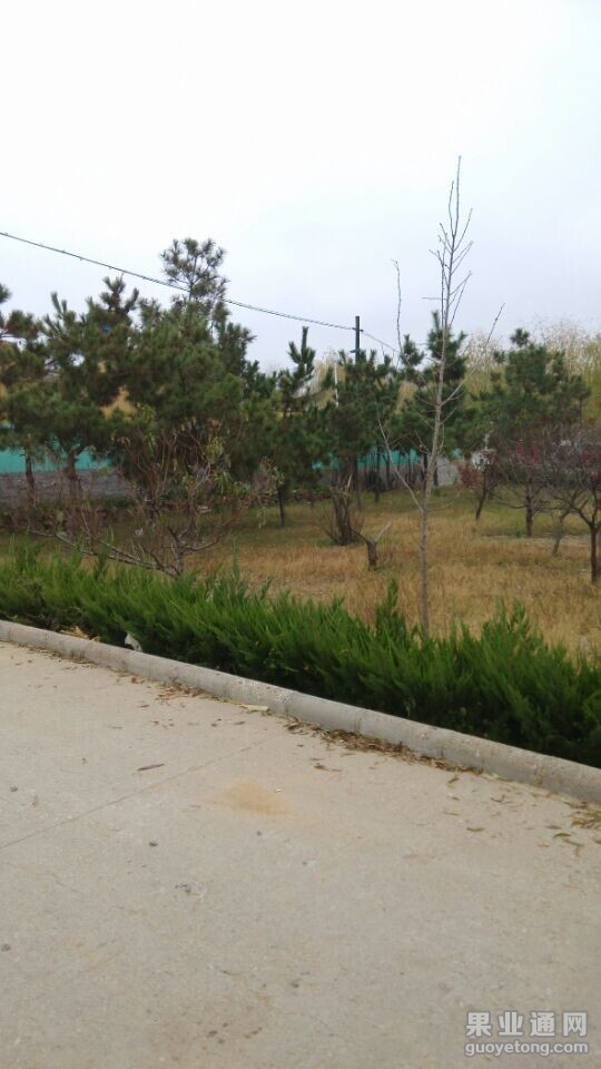 QQ图片20141124072202.jpg