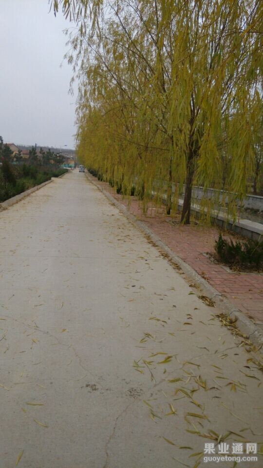 QQ图片20141124072132.jpg