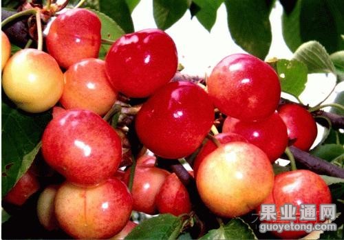 getimg.php?url=http%3A%2F%2Fimgsrc.baidu.com%2Fforum%2FwBAIFENHAO3D580%2Fsign%3Da5d0770a0f3387449cc52f74610ed937%2Fe433a9d3fd1f4134c4fe2c24261f95cad0c85e4f.jpg