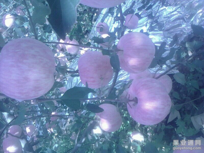 QQ图片20141130190821.jpg