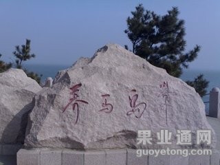t01c77f87e0c0b411d2.jpg