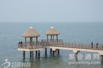 t0172bb22d3121ed2fa.jpg