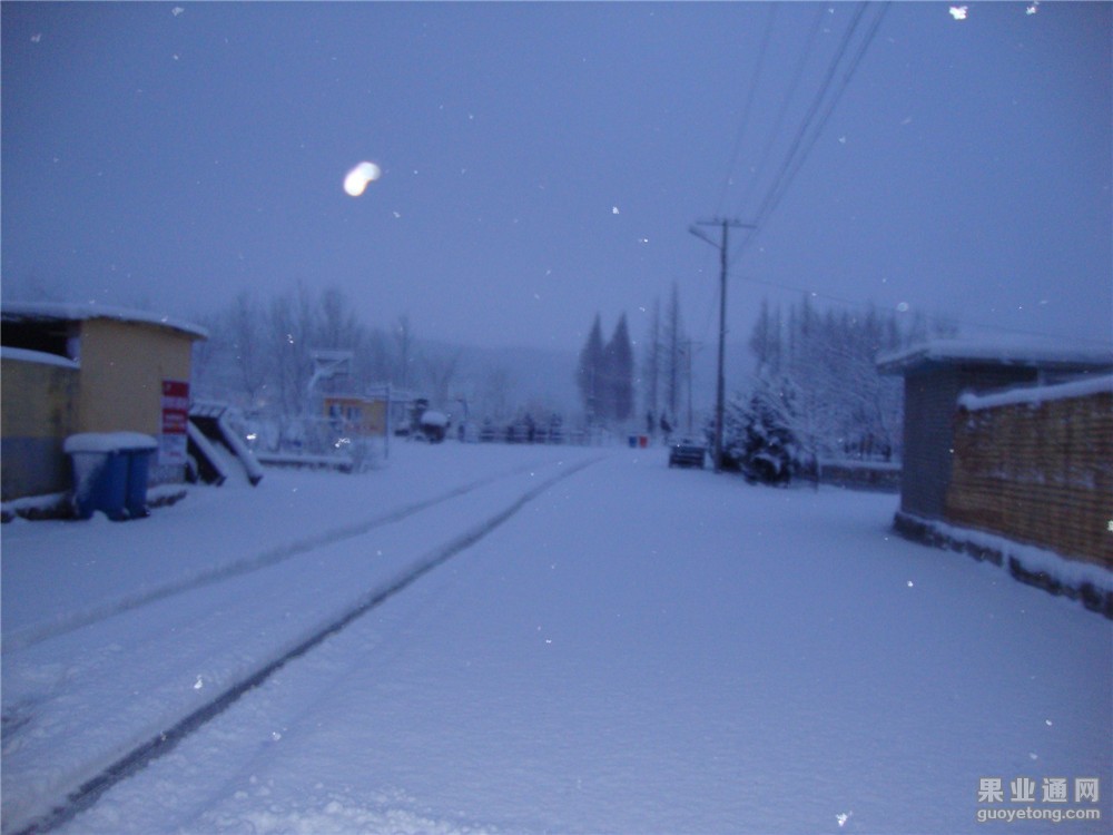 DSC02123.jpg