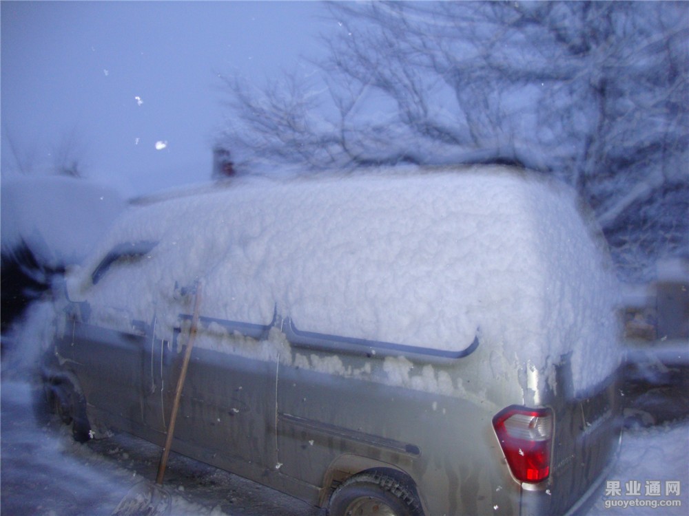 DSC02124.jpg