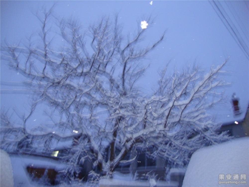 DSC02126.jpg