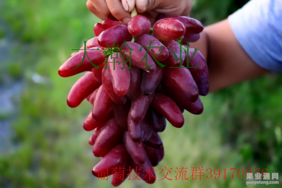 psb (33)_dh.jpg