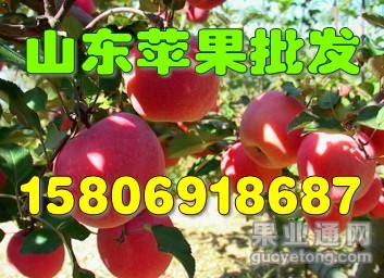 getimg.php?url=http%3A%2F%2Fimgsrc.baidu.com%2Fforum%2FwBAIFENHAO3D580%2Fsign%3D6e24ef86d42a60595210e1121835342d%2F59d012d5ad6eddc46ef1b7b43adbb6fd5266330a.jpg