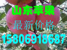 getimg.php?url=http%3A%2F%2Fimgsrc.baidu.com%2Fforum%2FwBAIFENHAO3D580%2Fsign%3D99b1106096cad1c8d0bbfc2f4f3f67c4%2Fc7769122720e0cf37e354eb40946f21fbf09aa67.jpg