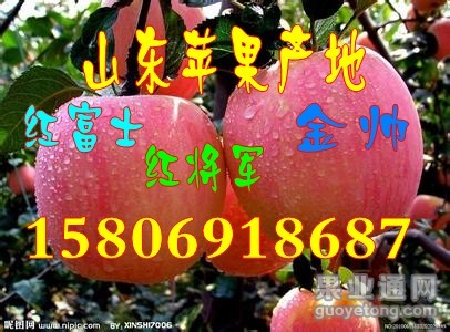 getimg.php?url=http%3A%2F%2Fimgsrc.baidu.com%2Fforum%2FwBAIFENHAO3D580%2Fsign%3De43da56cb37eca80120539efa1229712%2F8667a44bd11373f0d42e6cd0a70f4bfbfbed040b.jpg