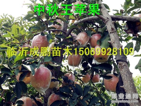 getimg.php?url=http%3A%2F%2Fimgsrc.baidu.com%2Fforum%2FwBAIFENHAO3D580%2Fsign%3D792b83be75c6a7efb926a82ecdfbafe9%2F795782d4b31c87013fb19487247f9e2f0708ff74.jpg