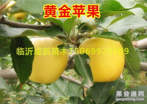 getimg.php?url=http%3A%2F%2Fimgsrc.baidu.com%2Fforum%2FwBAIFENHAO3D580%2Fsign%3D78e7f44093ef76c6d0d2fb23ad17fdf6%2F1dc927738bd4b31c1a3bb2da84d6277f9e2ff874.jpg