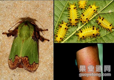 201202082056541.jpg
