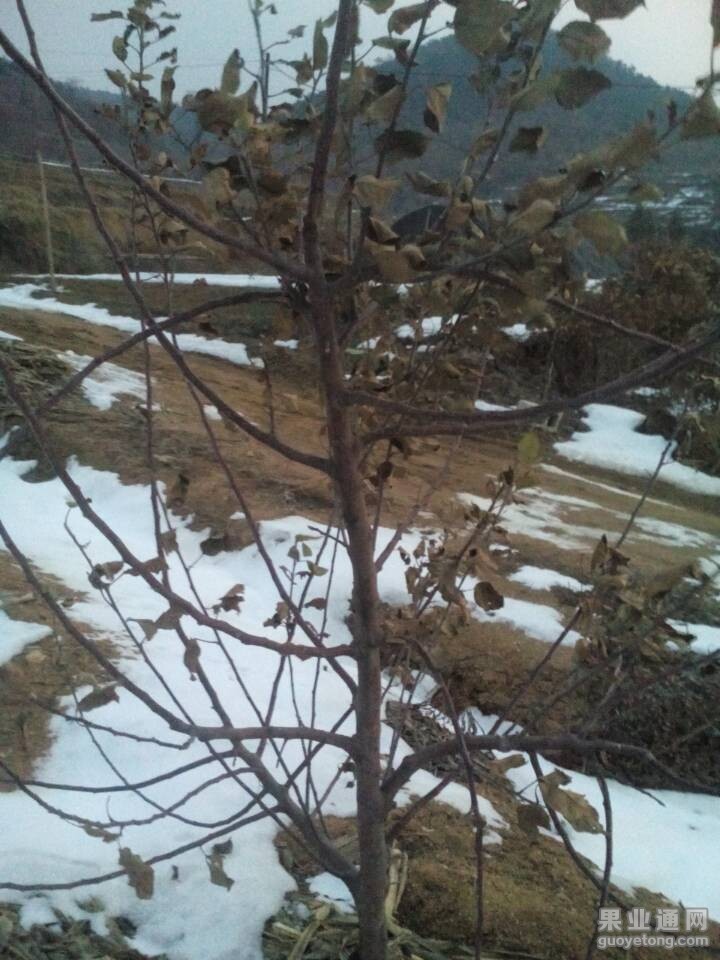 QQ图片20141224075311.jpg