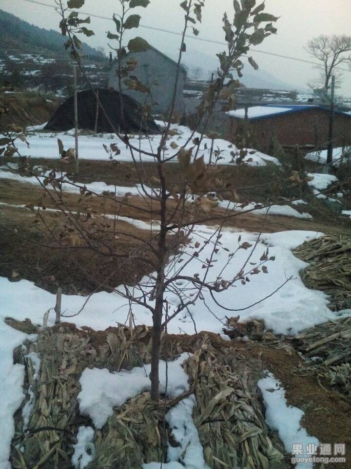 QQ图片20141224080227.jpg