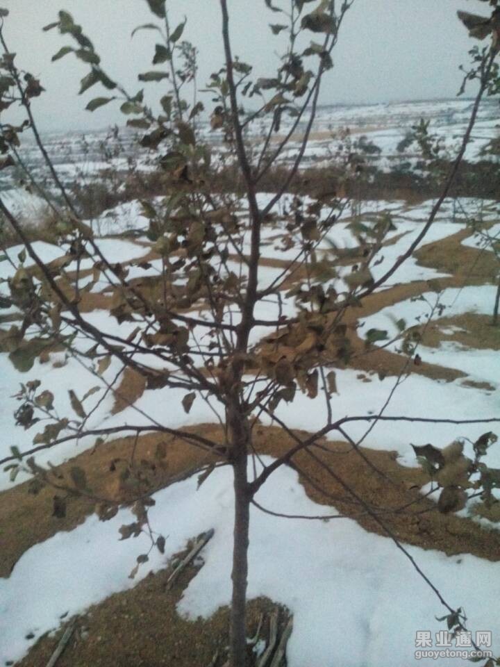 QQ图片20141224080232.jpg