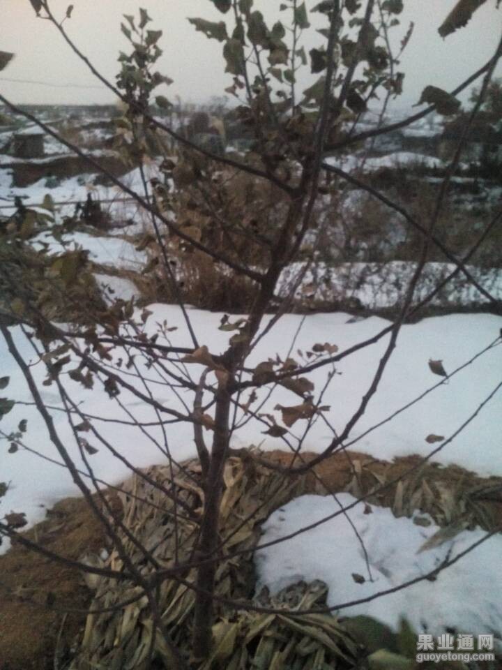 QQ图片20141224080243.jpg