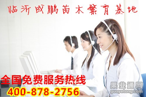 06192f9759ee3d6d47de72ad40166d224f4ade64.jpg