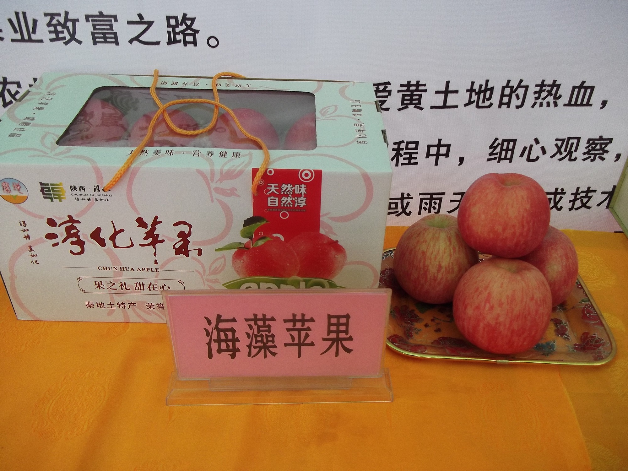 DSCF5228.JPG
