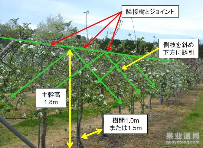 先进2.JPG