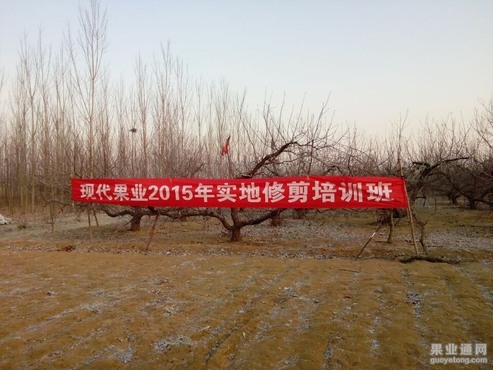 QQ图片20150203135820.jpg