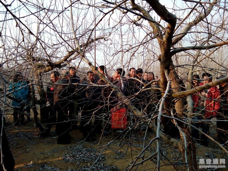 QQ图片20150203144443.jpg