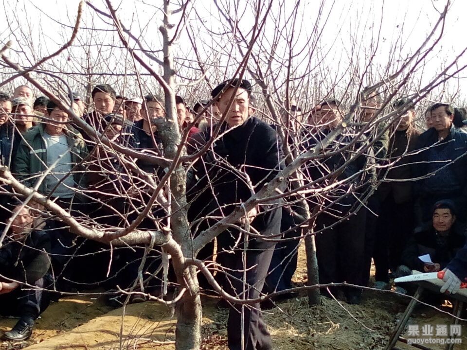 QQ图片20150203145609.jpg