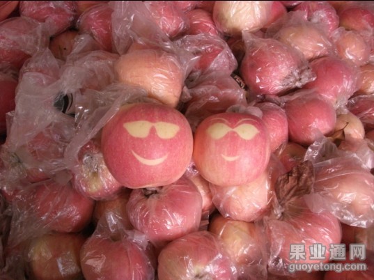 王正苹果  “苹什么”.jpg