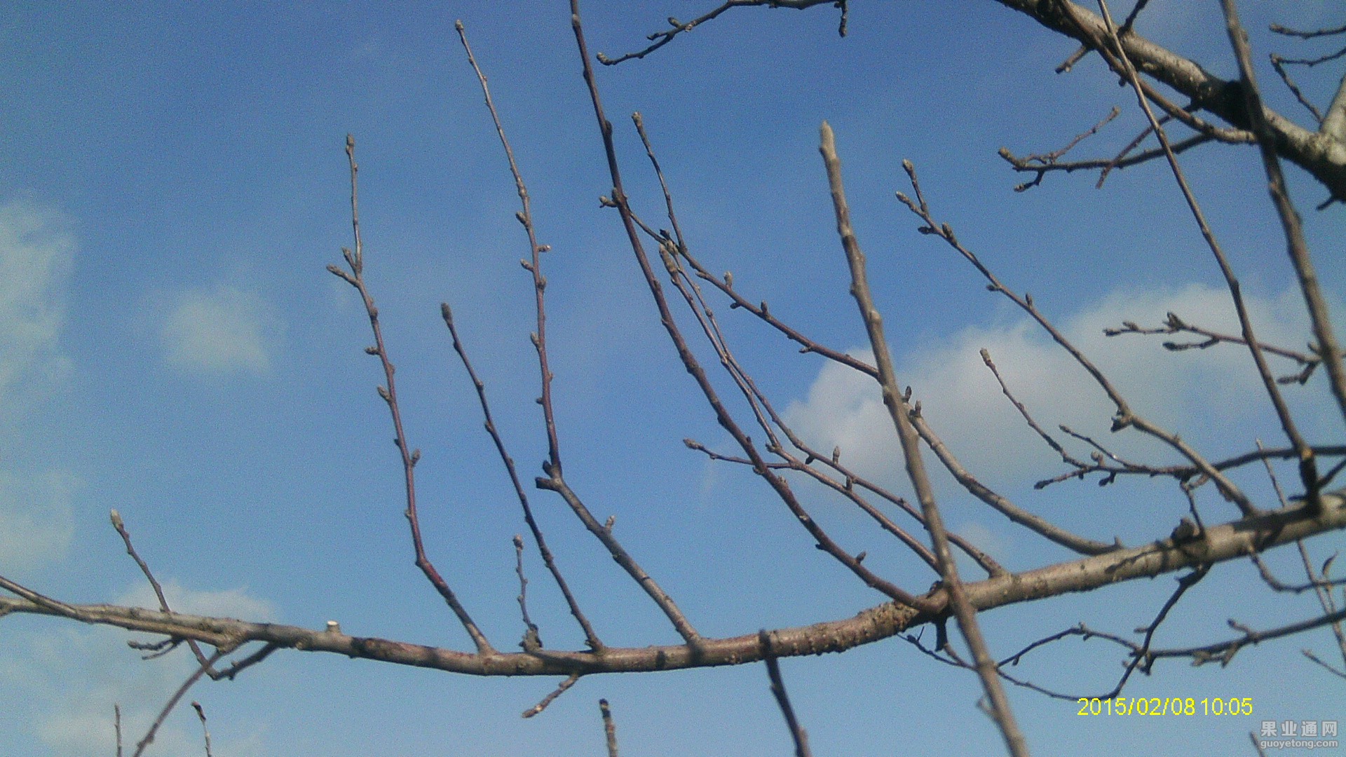 IMAG0621.JPG