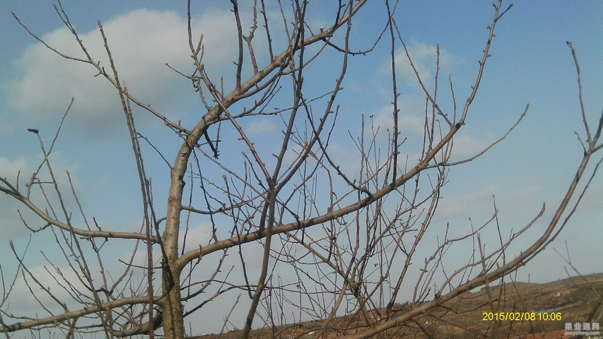 IMAG0623.JPG