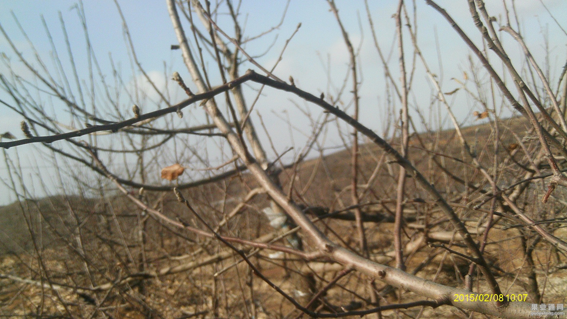 IMAG0626.JPG
