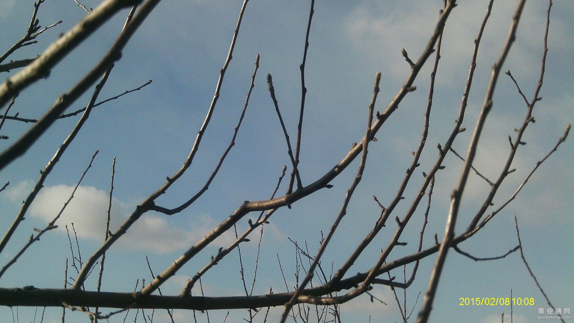 IMAG0628.JPG