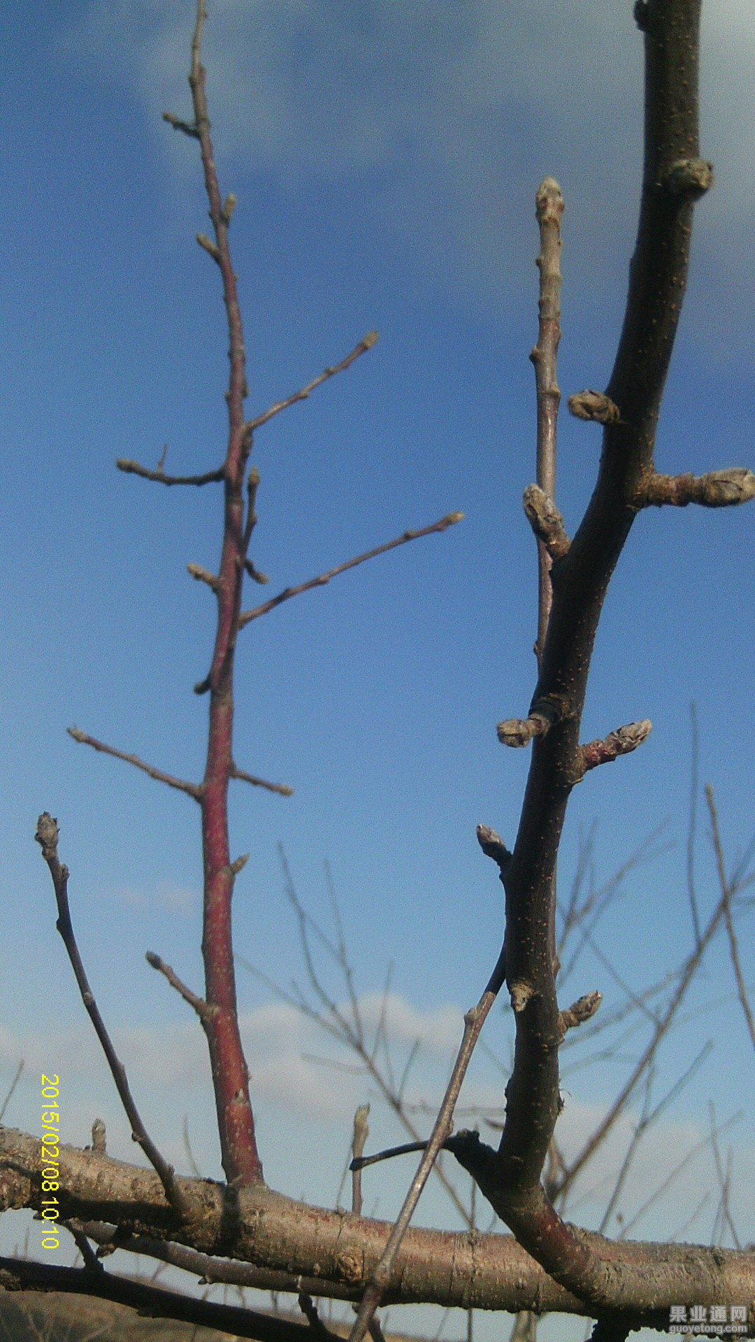 IMAG0632.JPG