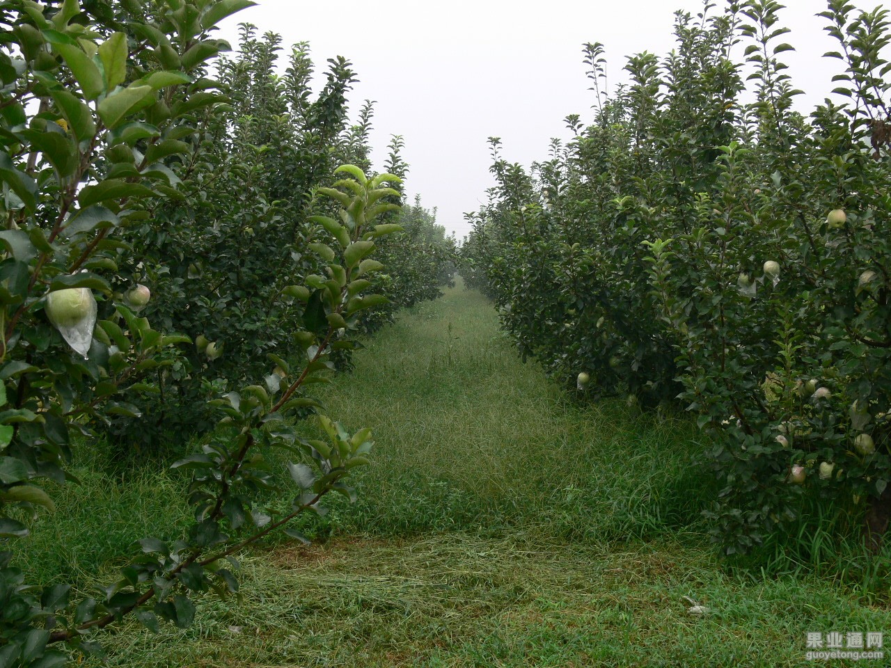 P1910294.JPG