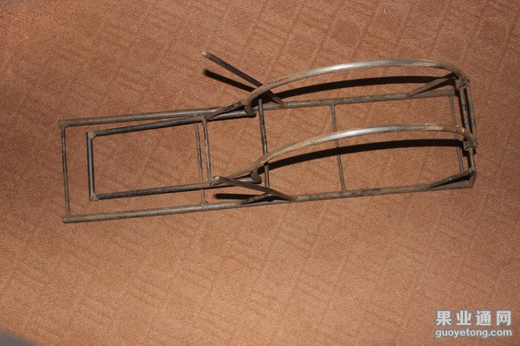 151902o3vz3dmjrxrmmwxh.jpg