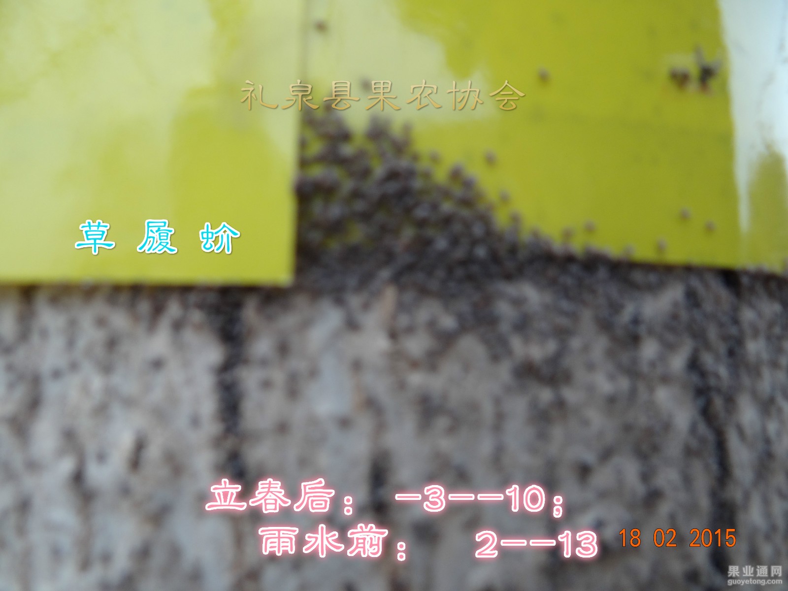 DSC08188.JPG