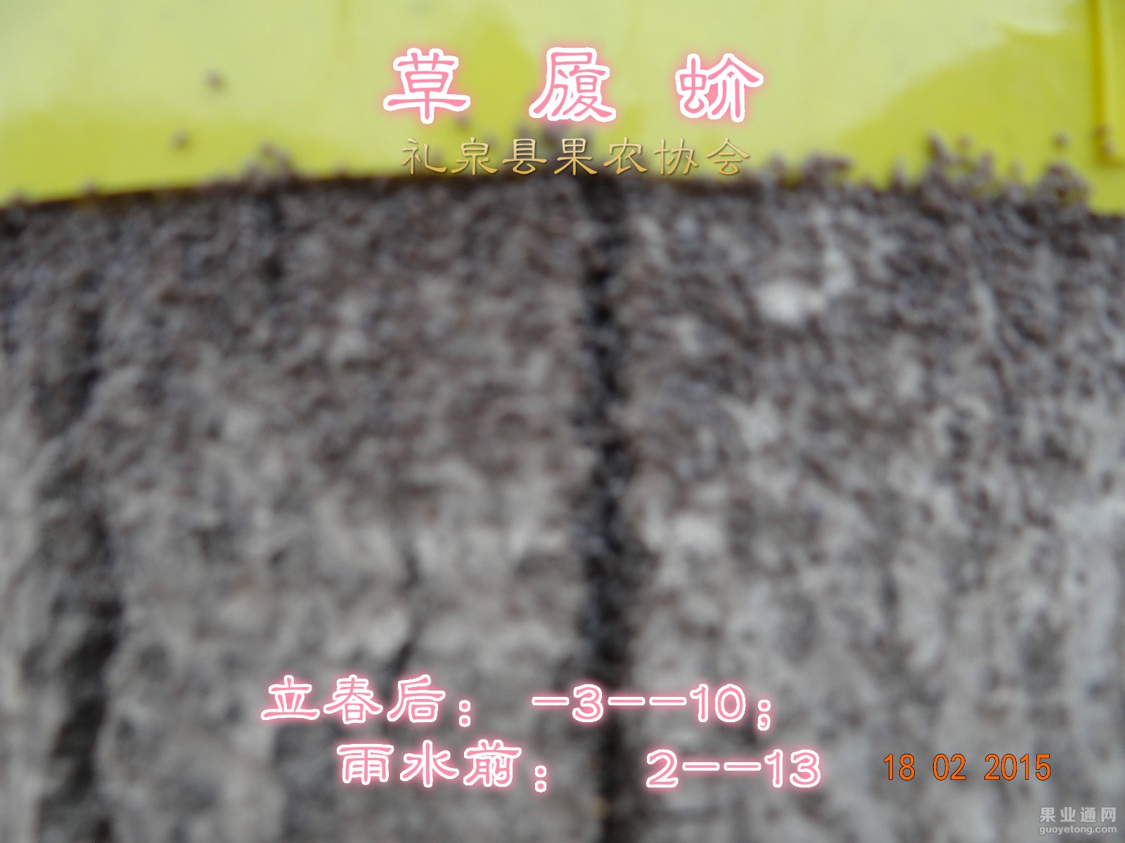 DSC08189.JPG