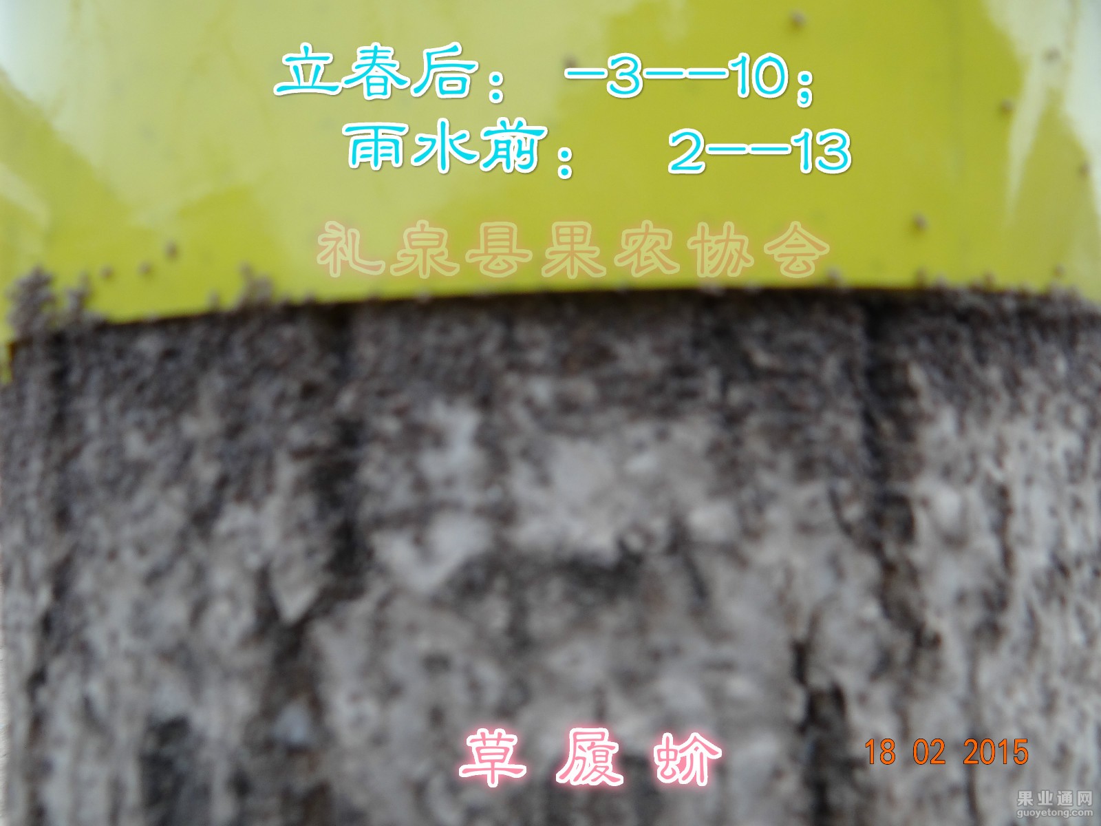 DSC08190.JPG