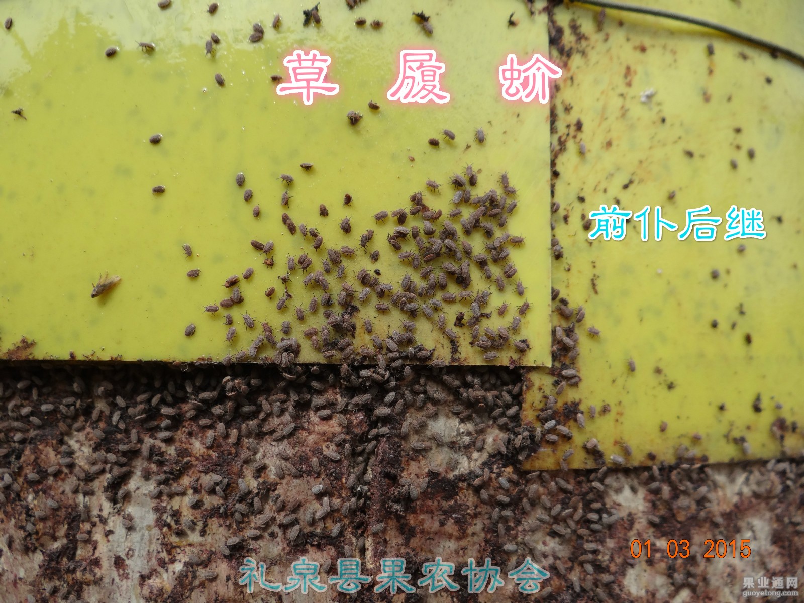 DSC08191.JPG