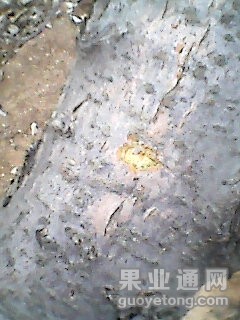 这是一个地方